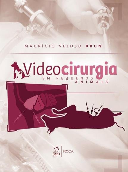 Videocirurgia em Pequenos  Animais