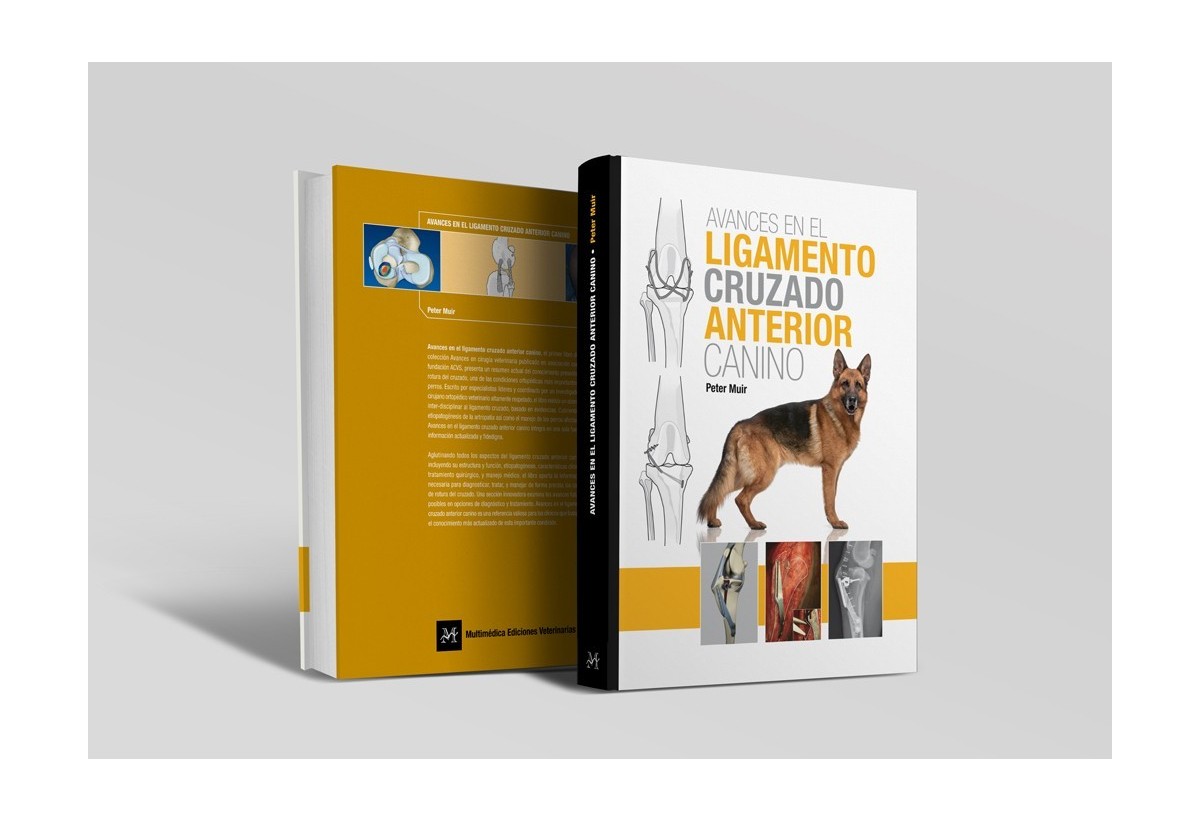 Avances en el ligamento cruzado anterior canino