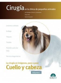 La cirugía en imágenes paso a paso. Cuello y Cabeza, Volumen I