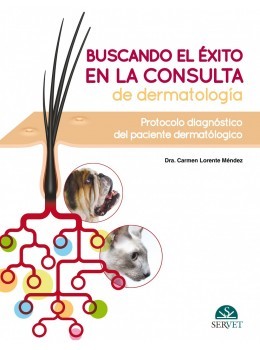 Buscando el éxito en la consulta de dermatología: Protocolo diagnóstico del paciente dermatológico