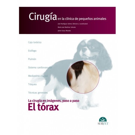 El tórax. Cirugía en la clínica de pequeños animales
