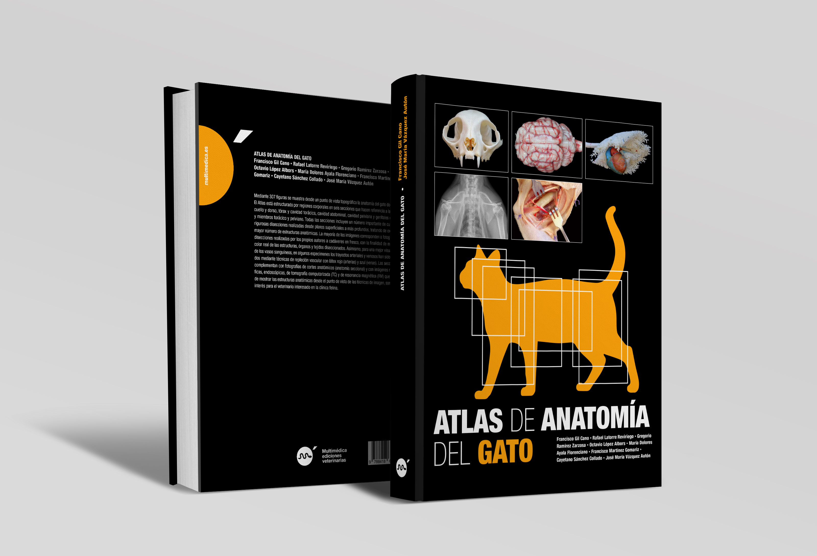 Atlas de anatomía del gato