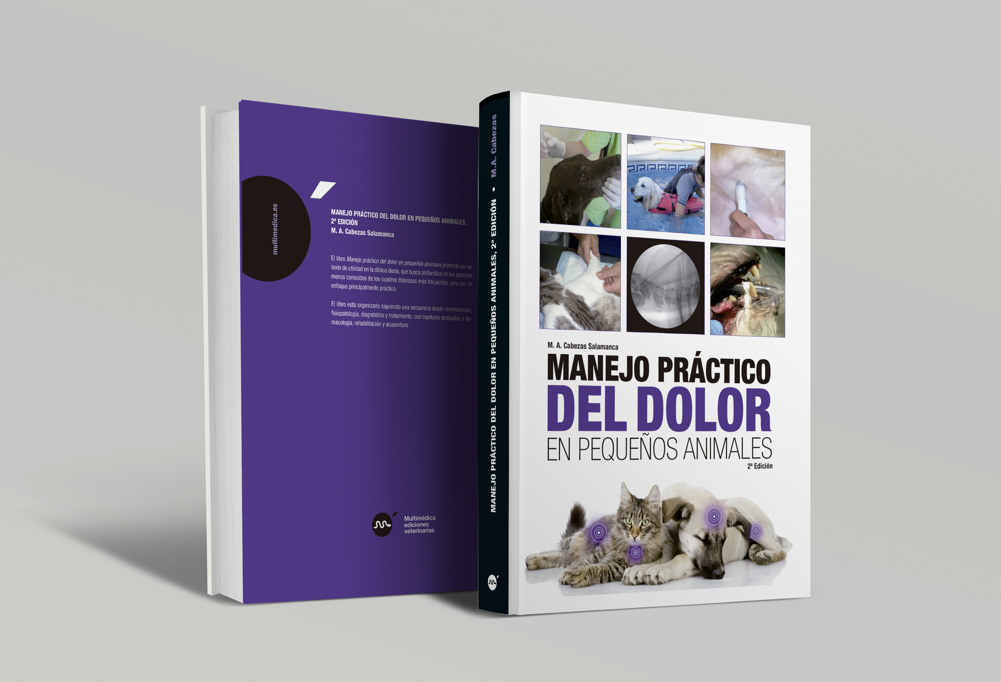 Manejo práctico del dolor en  pequeños animals, 2ª edicíon