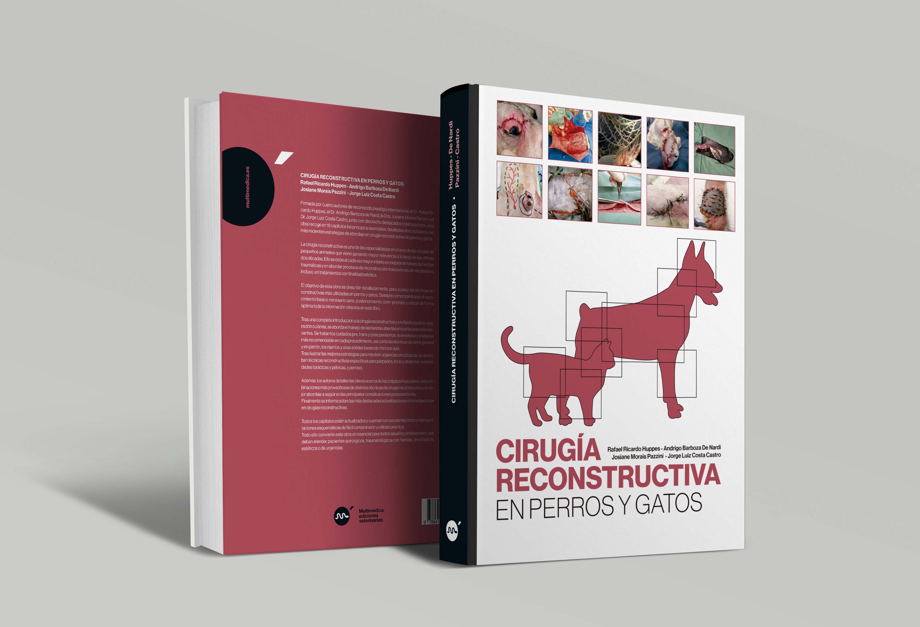 Cirugía reconstructiva en perros y  gatos