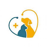 NMAC Núcleo de Medicina de Animais de Companhia da AE FMV-ULusófona