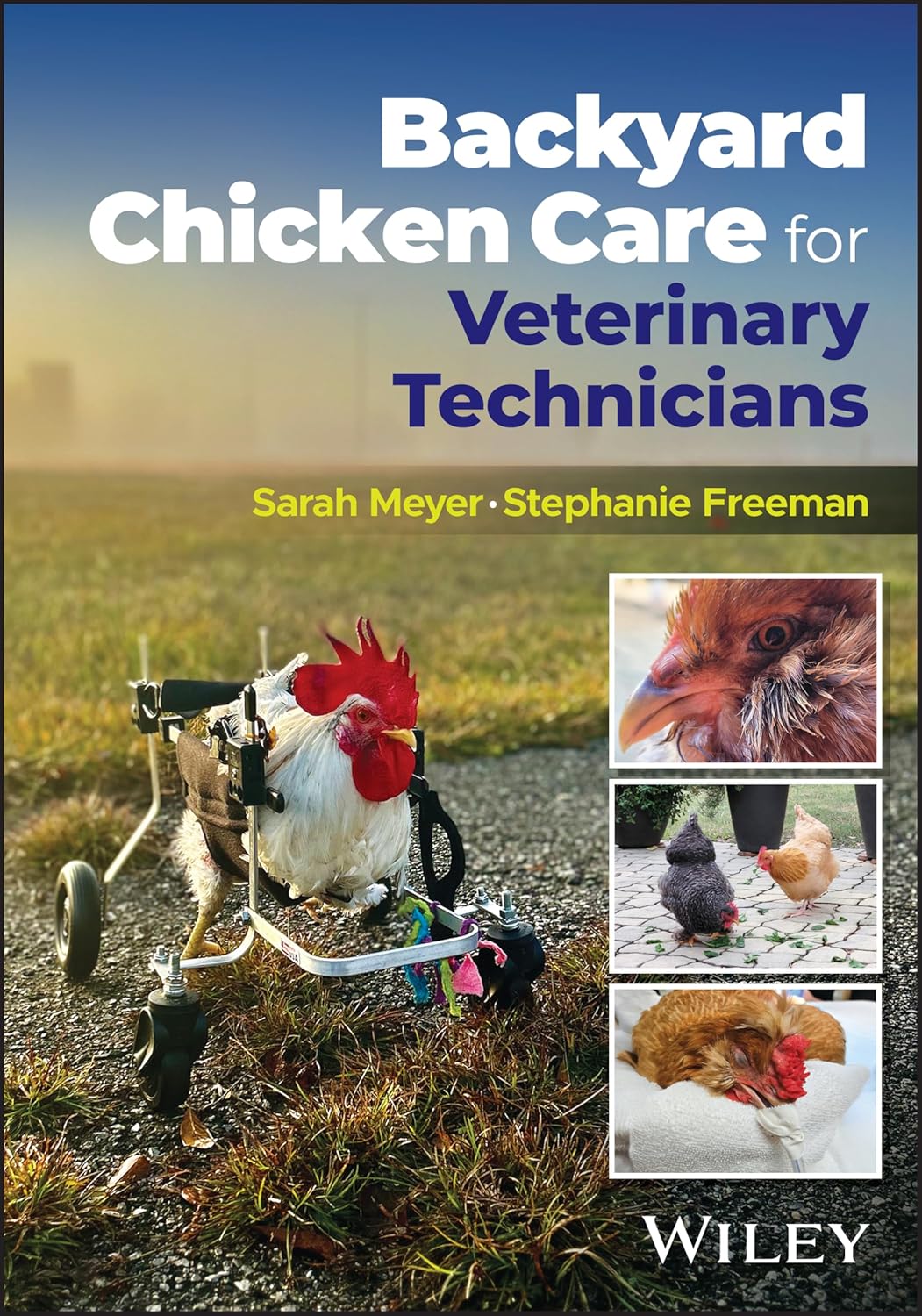 Backyard Chicken Care for Veterinary Technicians